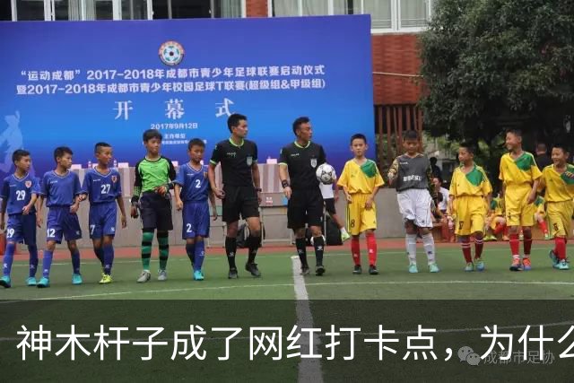 神木杆子成了网红打卡点，为什么要围起来？